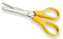 Single Use Instruments