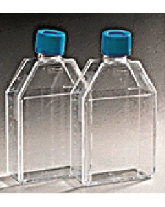 Corning BioCoat Collagen IV Rectangular Canted Neck Culture Flask 10070741 [Pack of 10]