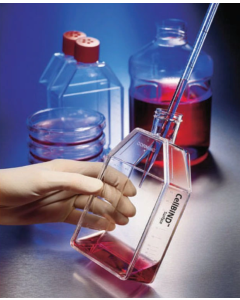 Corning CellBIND Surface Cell Culture Flasks 10194302 [Pack of 200]