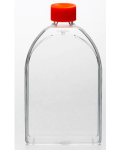 Corning Cell Culture Treated Flasks 10296861 [Pack of 50]