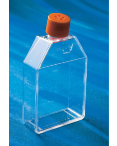Corning Cell Culture Treated Flasks 10586281 [Pack of 25]