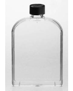 Corning Cell Culture Treated Flasks 10706872 [Pack of 50]