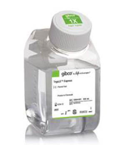 Corning U-Shaped Cell Culture Flasks 11570926 [Pack of 1]