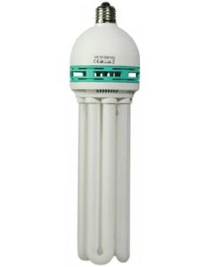 AW LED Bulbs For H105 [Pack of 1]