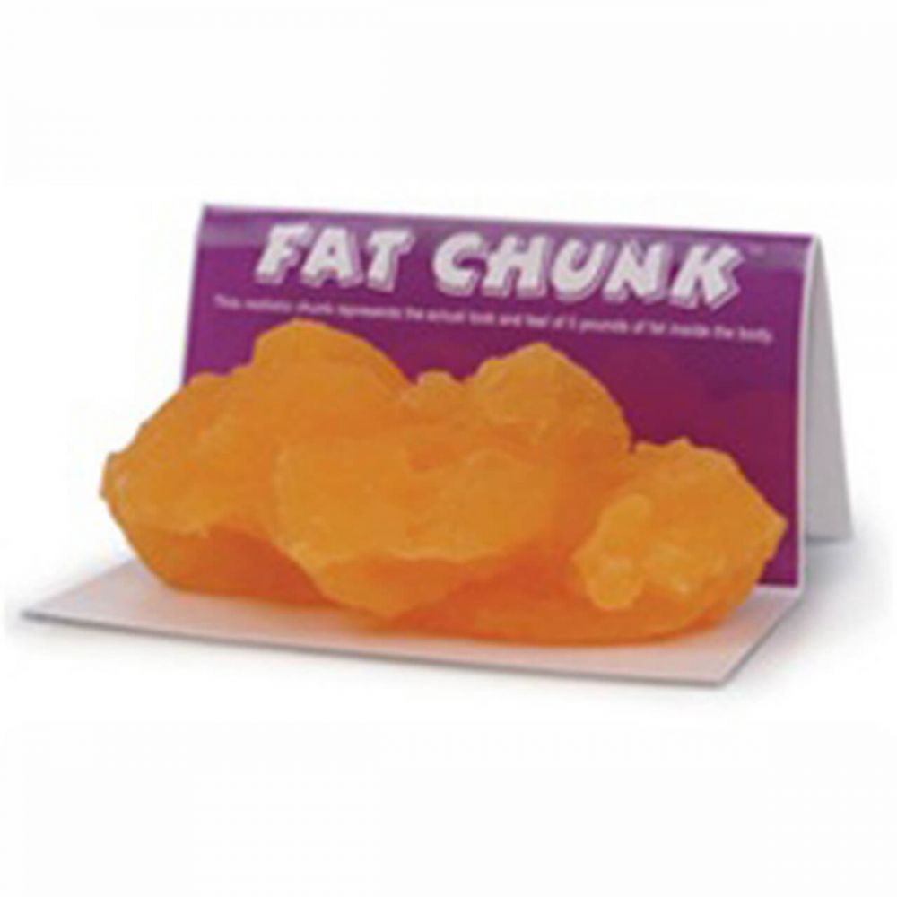 Fat Chunk Model 5 lb, Health Edco