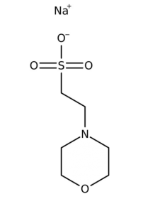 Thermo Scientific MES sodium salt, 99% 10776465 [Pack of 1]