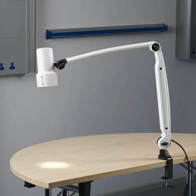 CLED53 FX Desk Mounted Examination Light [Pack of 1]