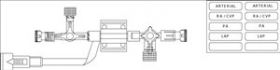 Transpac® IV Disposable Transducer w/3-Way Stopcock and 4-Way Stopcock [Pack of 1]