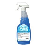 2WORK GLASS/WIND CLEANER SPRAY 750ML