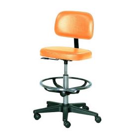 AW Select Practitioner Chair, with Foot Ring