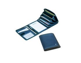Bollmann Document Large Case, Blue [Pack of 1]